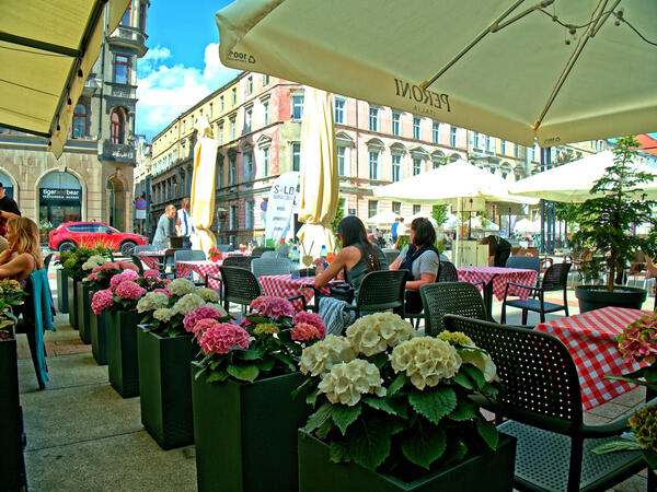 Katowice flowers