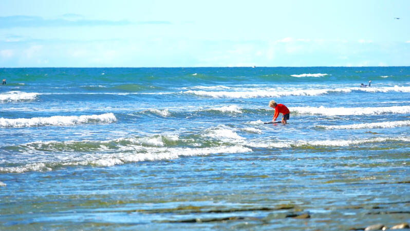 boogie boarder