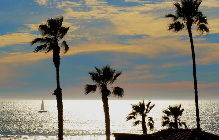 sailboat 5